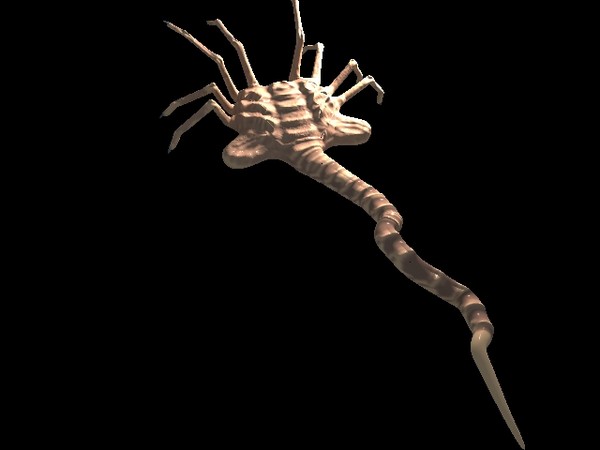 modeled facehugger egg 3d max - Facehugger N Egg. by Andrew Alonso
